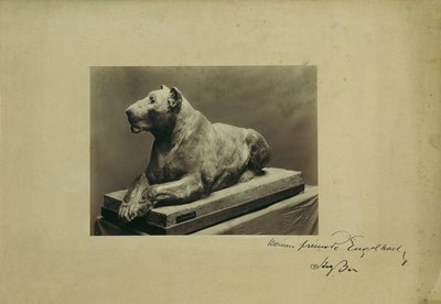løvinne av Arthur Strasser