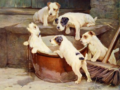 The Order of the Bath - valpevasking av Arthur Twidle