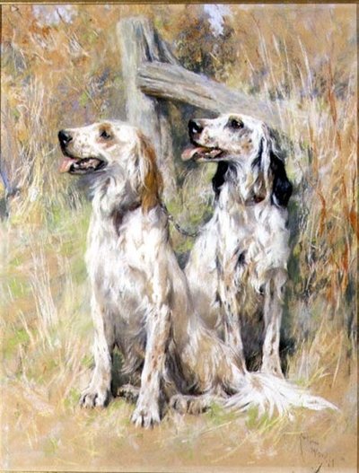 Engelske Setters av en Stile av Arthur Wardle