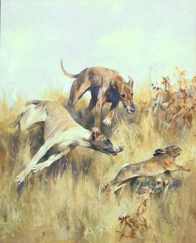 Greyhounds Giving Chase (gouache på papir) av Arthur Wardle