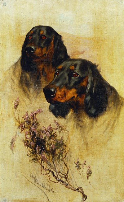 To Gordon Setters (olje på lerret) av Arthur Wardle