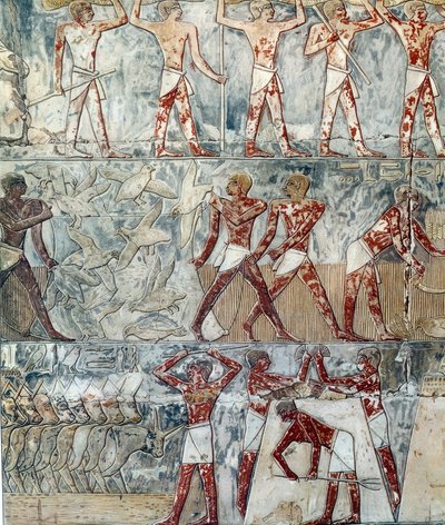 Kunst i Egypt: jordbruksscene, 6. dynasti av Artist Unknown