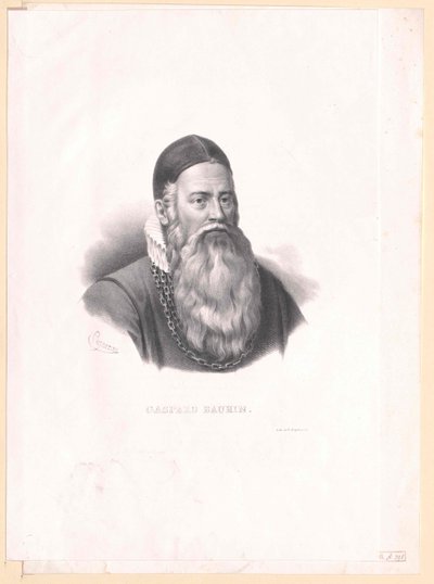 Kaspar Bauhin av Artist Unknown