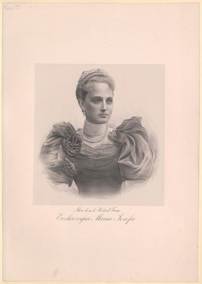 Prinsesse Maria Josefa av Sachsen av Artist Unknown