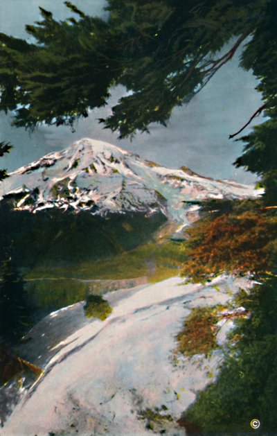 Mount Tacoma fra Eagle Peak, Washington, c1916 av Asahel Curtis