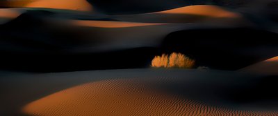 Ørkenens sanddyner i den gyldne timen av Asef Azimaie