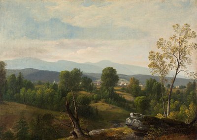 En utsikt over dalen av Asher Brown Durand