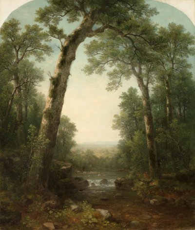 Forest Stream med Vista av Asher Brown Durand