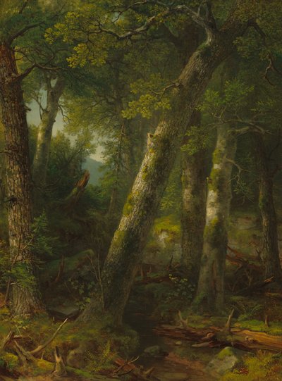 Skog i morgenlyset, ca. 1855. av Asher Brown Durand