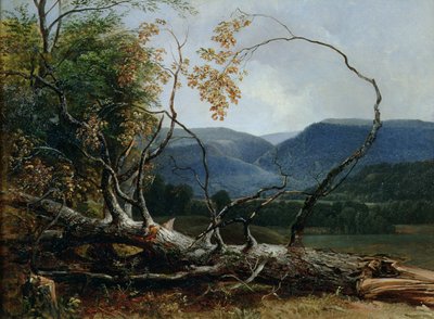 Stratton Notch, Vermont av Asher Brown Durand