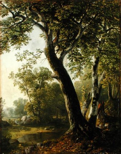 Studer ved Marbletown, Ulster County, New York, ca. 1845 (olje på lerret) av Asher Brown Durand