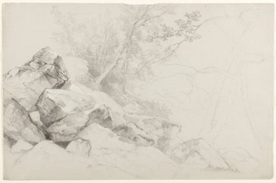 Study of Rocks with Trees, Haag, Lake George, New York, 1862 (grafitt på grått papir) av Asher Brown Durand