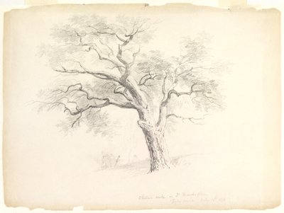 The Chestnut Oak på Hosack Estate, Hyde Park, New York med fem figurer og en kunstnerskisse, 1838 (grafitt på papir) av Asher Brown Durand
