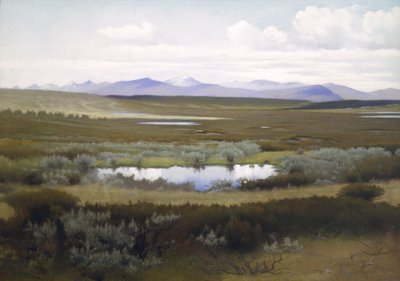 Landscape, Rondane av Asta Nørregaard