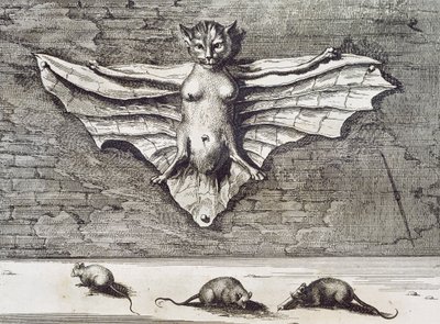 Flyvende katt, 1667 av Athanasius Kircher