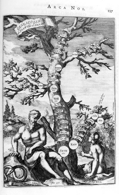 Adams slektstre, 1675. av Athanasius Kircher