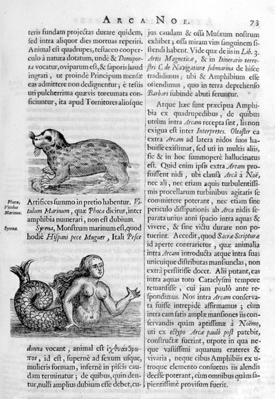 Mytiske skapninger, 1675. av Athanasius Kircher