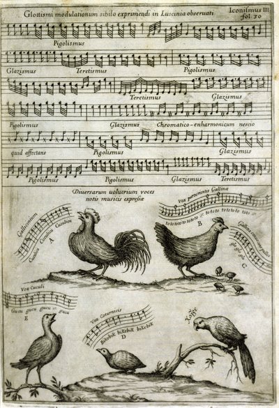 Sangen utgitt av visse flyktige stoffer uttrykt av musikalske noter etter: "Musurgia Universalis" av Athanasius Kircher av Athanasius Kircher