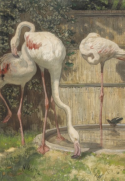 Tre flamingoer ved en vannbasseng. 1872 av August Allebe