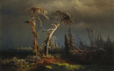 Opptrekkende uvær - utdøende urskog i uvær (oil on canvas) av August Cappelen