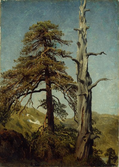  av August Cappelen