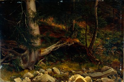  av August Cappelen