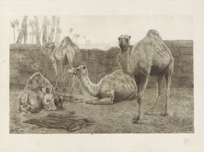 kameler av August Le Gras