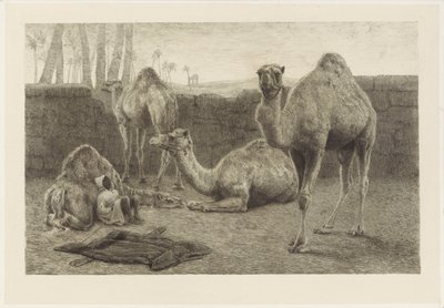 kameler av August Le Gras