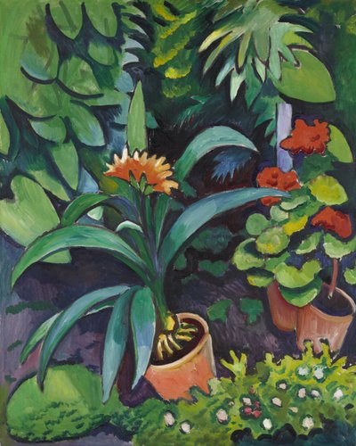 Blomster i hagen, clivia og pelargonium av August Macke