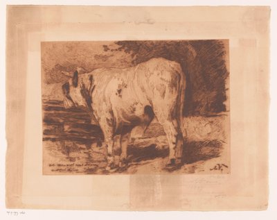STI og i mikroen av Auguste Danse (signed by artist)