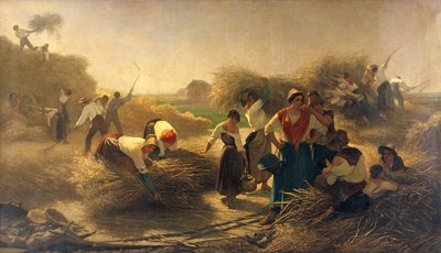 Tresking av raps på åkrene i Lille av Auguste Joseph Herlin