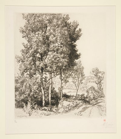 La vall?e du Petit Morin pr?s de Verdelot (Seine-et-Marne) (lille Morin-dalen nær Verdelot [Seine-et-Marne]) av Auguste Lepere