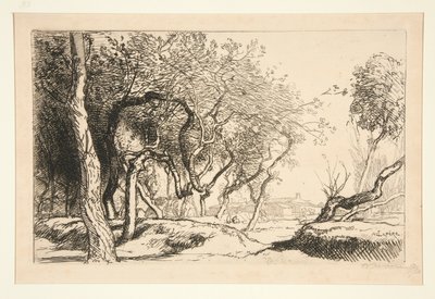 Twisted Trees (Saint-Jean-de-Monts) av Auguste Lepere