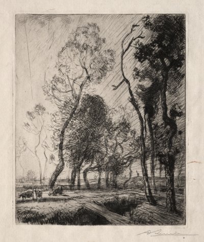 Solnedgang bak trærne, 1909. av Auguste Louis Lepère