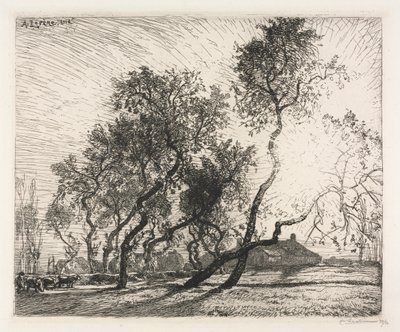 Farm with Poplar Trees of Holland, 1914. av Auguste Louis Lepère