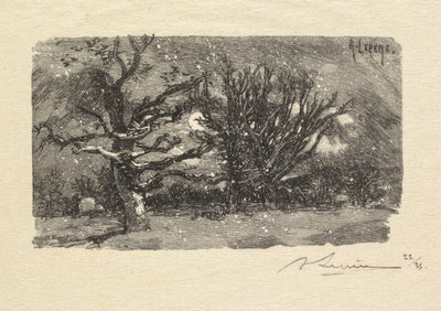 Fontainebleau-skogen: Au dormoir de Lantara (La Forêt de Fontainebleau: Au dormoir de Lantara) av Auguste Louis Lepère