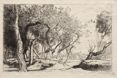 Det vridde treet av Auguste Louis Lepère