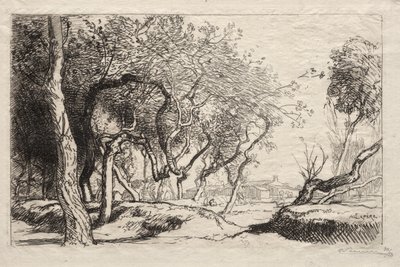 The Twisted Tree, 1915. av Auguste Louis Lepère