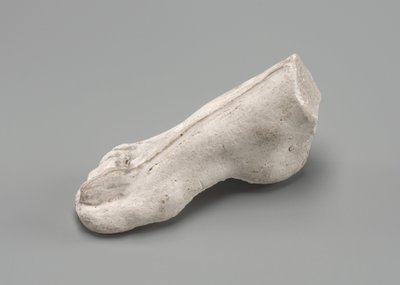 Høyre fot, muligens 1880. av Auguste Rodin