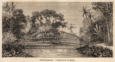 En bambusbro, i jungelen, nær Salak-fjellet. Tegning av M. de Molins, for å illustrere hans reise til Java av Auguste de Molins