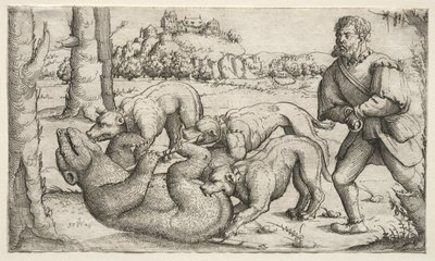 En bjørnejakt av Augustin Hirschvogel