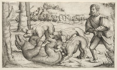  av Augustin Hirschvogel