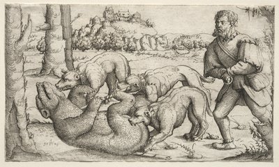 En bjørnejakt, 1569. av Augustin Hirschvogel