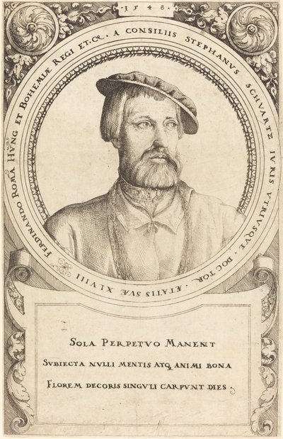 Doktor Stephen Schwartz, 1548. av Augustin Hirschvogel