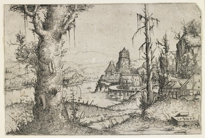 Stort tre og slott på en innsjø av Augustin Hirschvogel