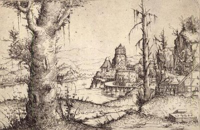 S.9-1993 Elvelandskap med et kraftig tre av Augustin Hirschvogel