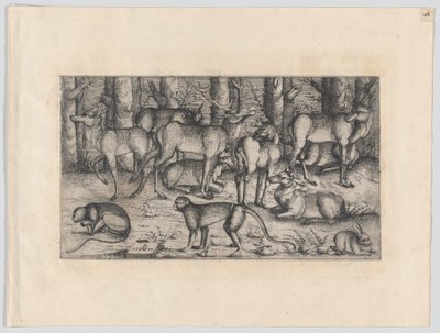 Hjorter i skogen, 1545. av Augustin Hirschvogel