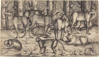 Hjorter i skogen, 1545. av Augustin Hirschvogel