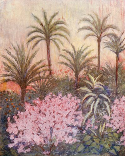 En palmelund i Murcia (fargelitografi) av Augustine Fitzgerald