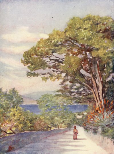 En vei i Gibraltar (fargelitografi) av Augustine Fitzgerald